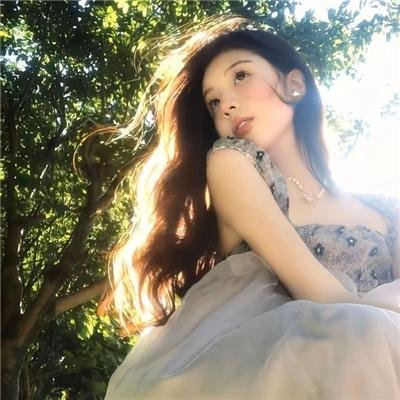 李卫当官2