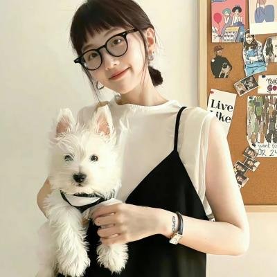 神探特伦特第二季
